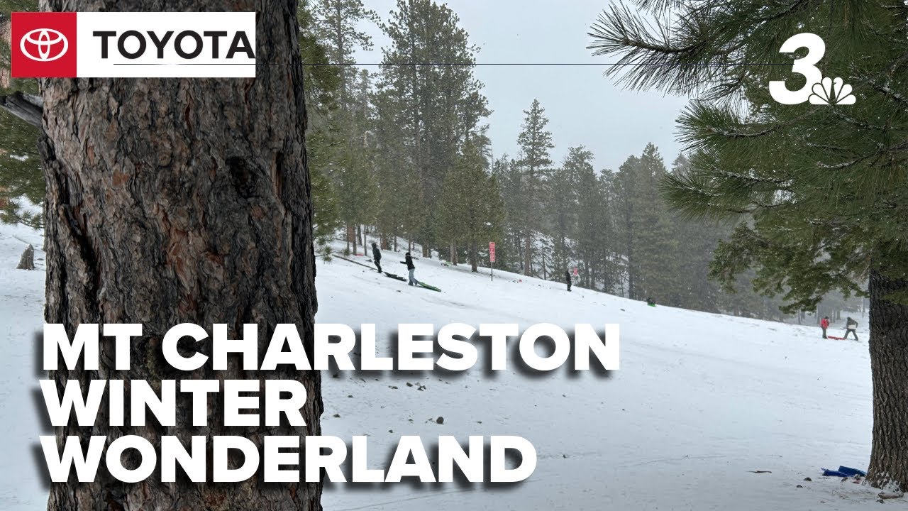 Snowfall transforms Mount Charleston into a winter wonderland