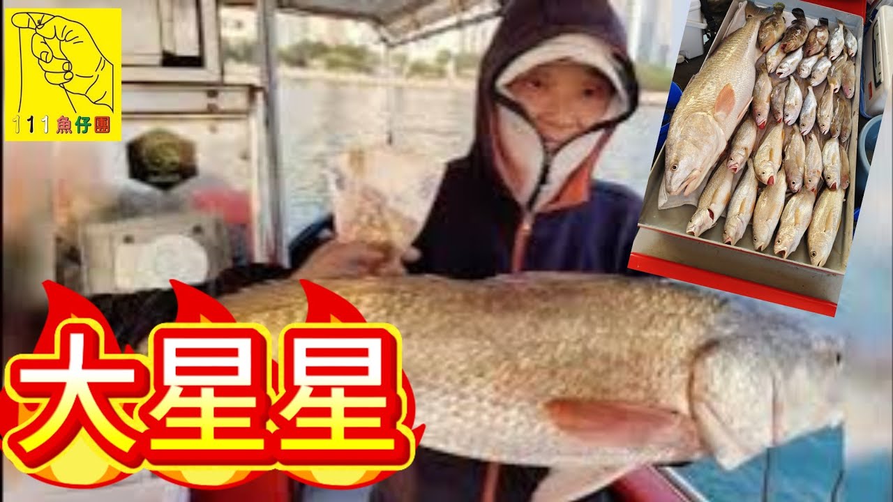 大星星又攞大魚獎#香港釣魚 