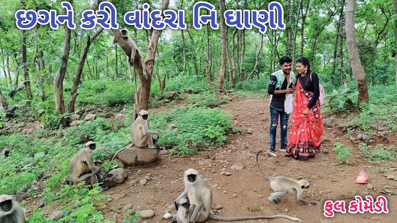 છગને કરી વાંદરા નિ ઘાણી | Comedian vipul | gujrati comedy