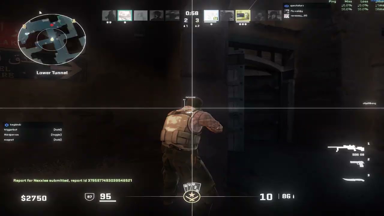 premier highlights ft. distort.wtf