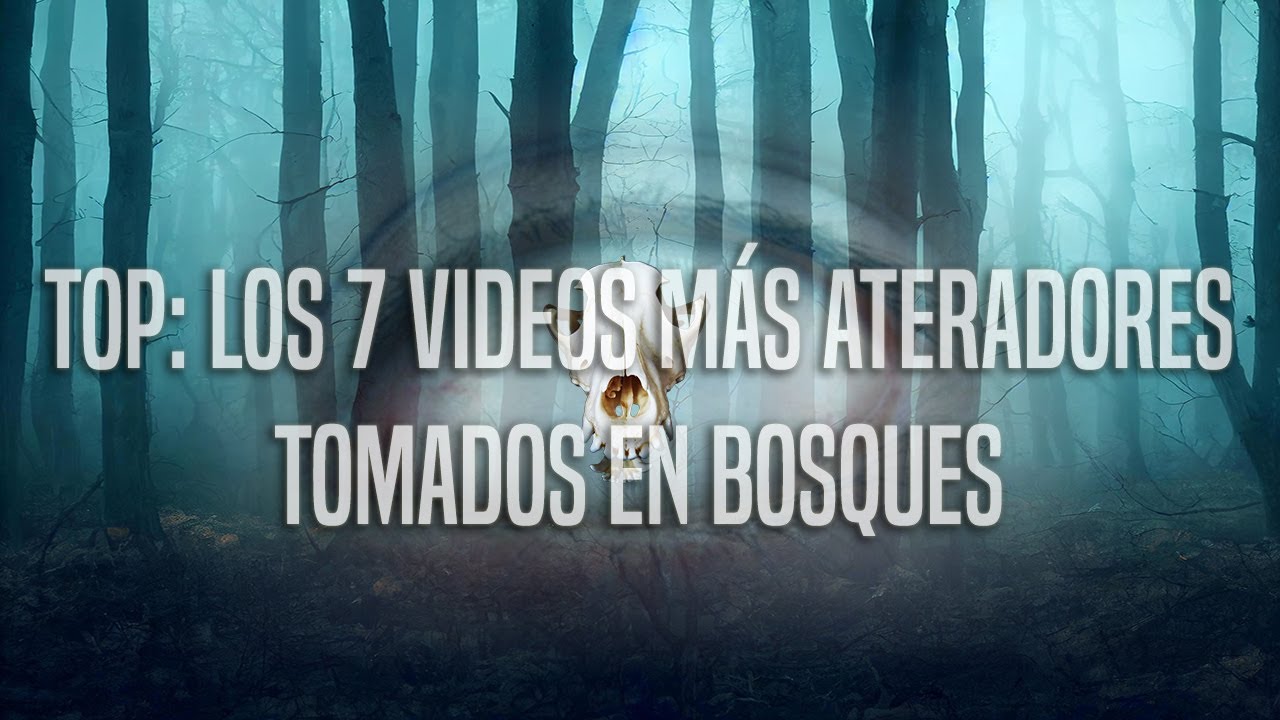 Top: Los 7 Videos M&aacute;s Aterradores Tomados En Bosques