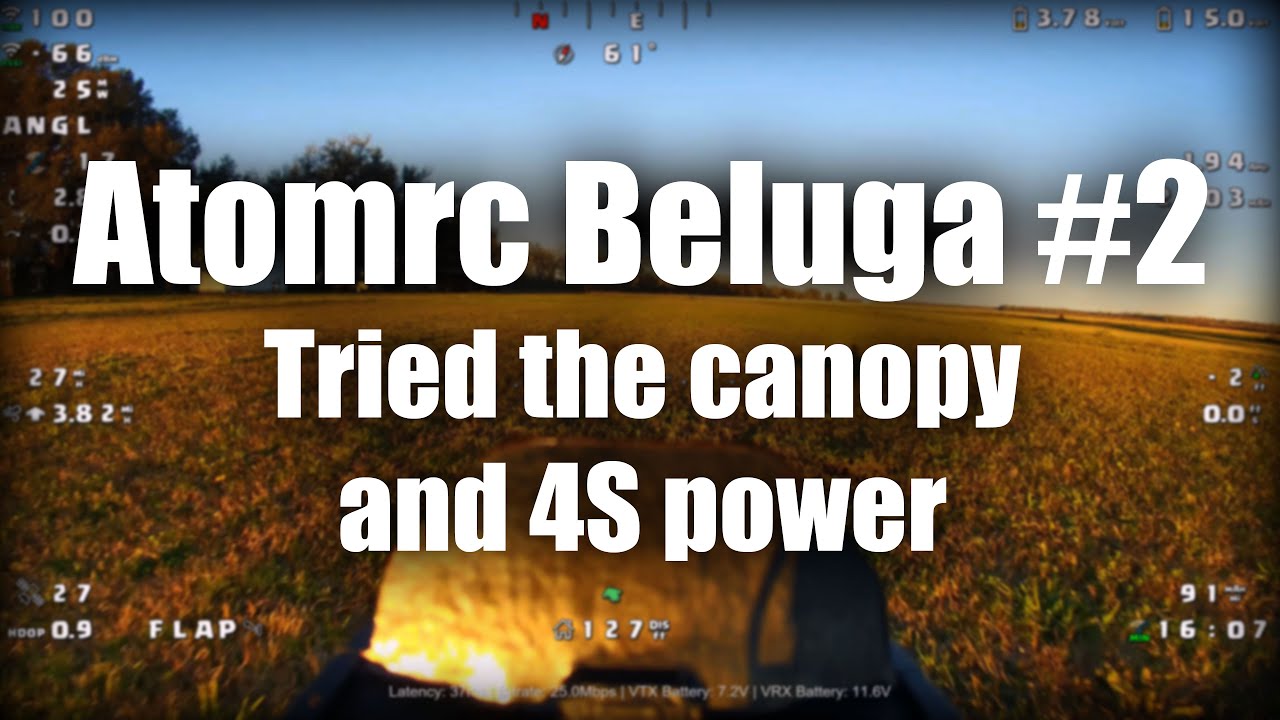 Atomrc Beluga #2, The canopy and 4S?