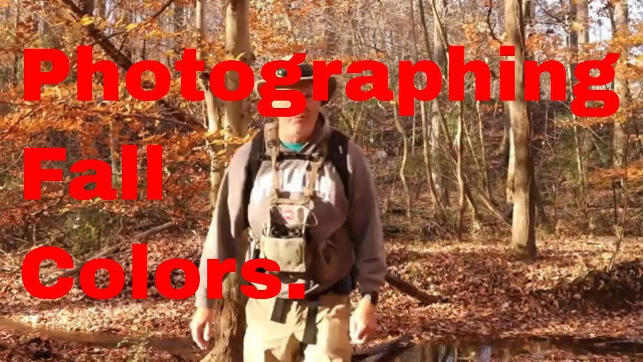 Photographing the leaves in the fall