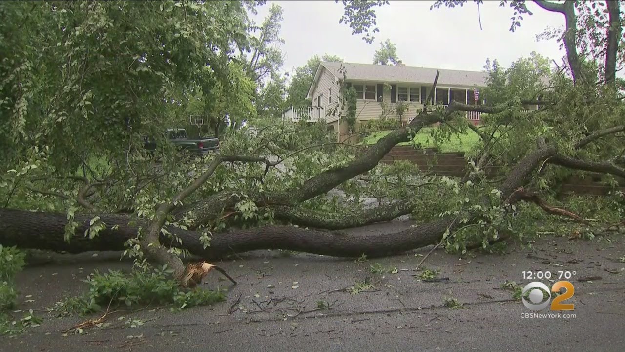 Storm Cleanup In Millstone Township, N.J.