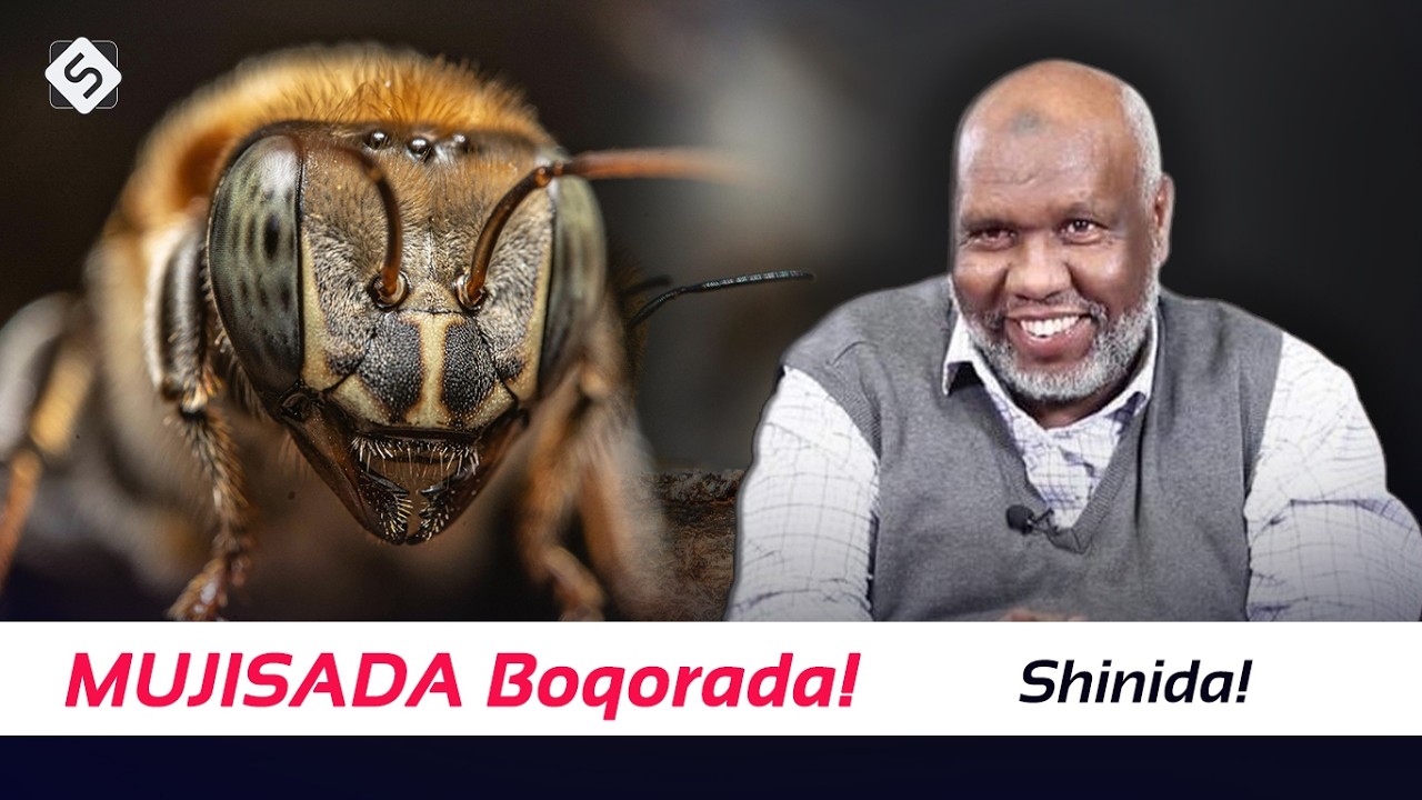 Xag Saynisku Ka Ogaadey Shinida & Qudhaanjada ~ Boqortooyooyin Isku Af | Sh Cabdiraxmaan Bashiir