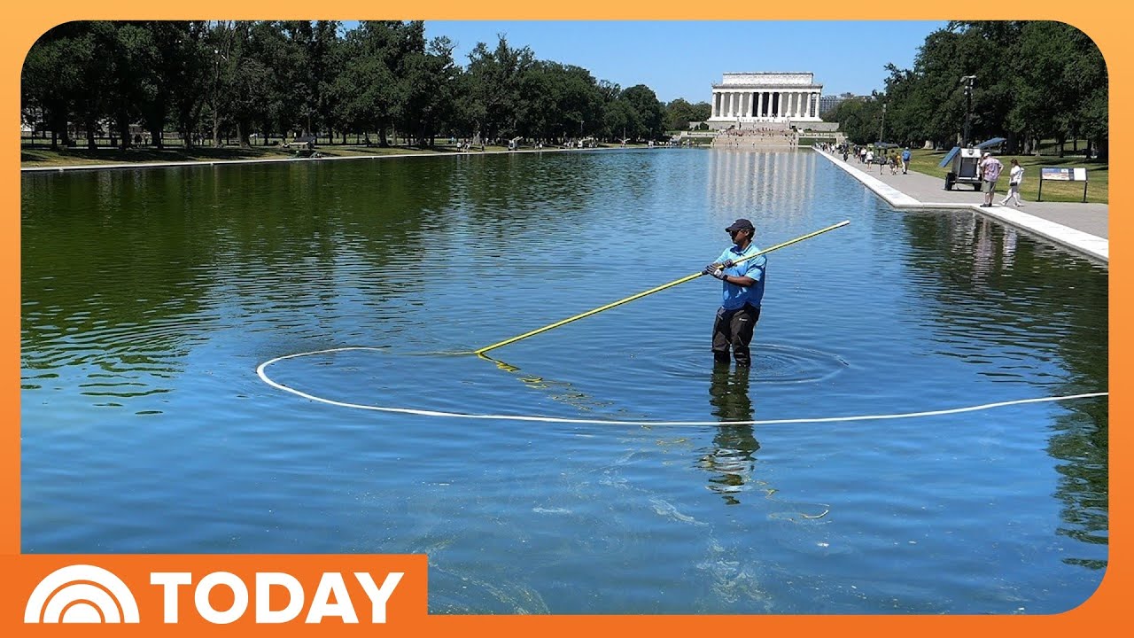 Reflecting Pool Faces New Setback as Blue Paint Peels Away