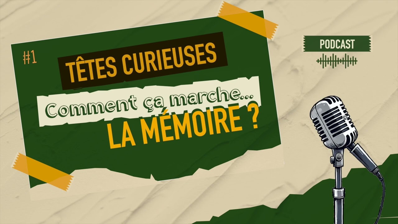Comment ça marche la mémoire ?｜Têtes Curieuses