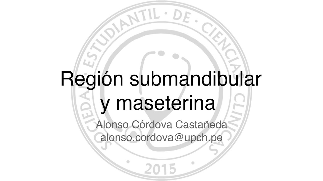 Regi&oacute;n submandibular y maseterina - Anatom&iacute;a