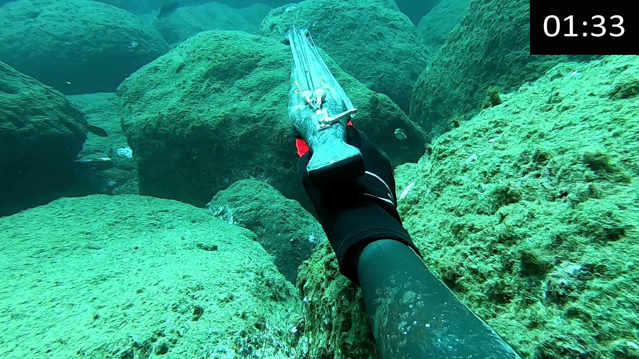 Pez de roca Pesca submarina en Canarias