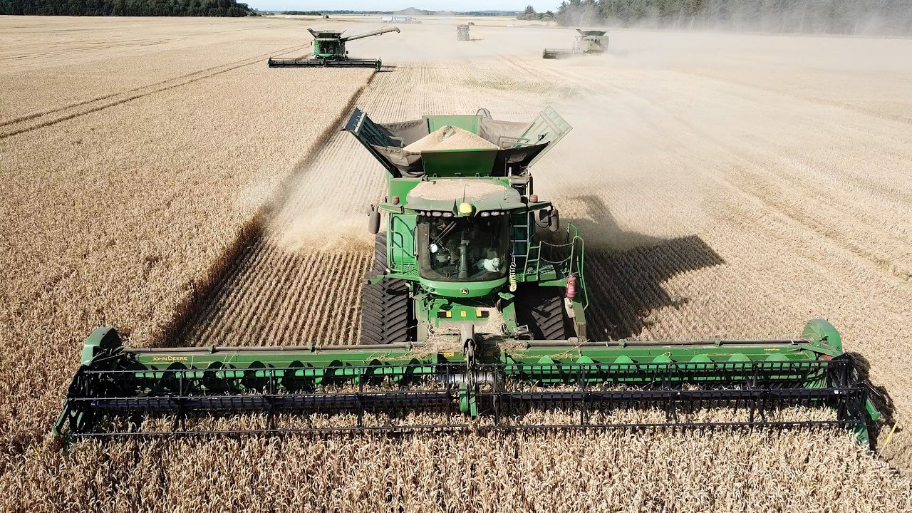 John Deere  S690 & S790 harvesting Wheat | Big Harvest