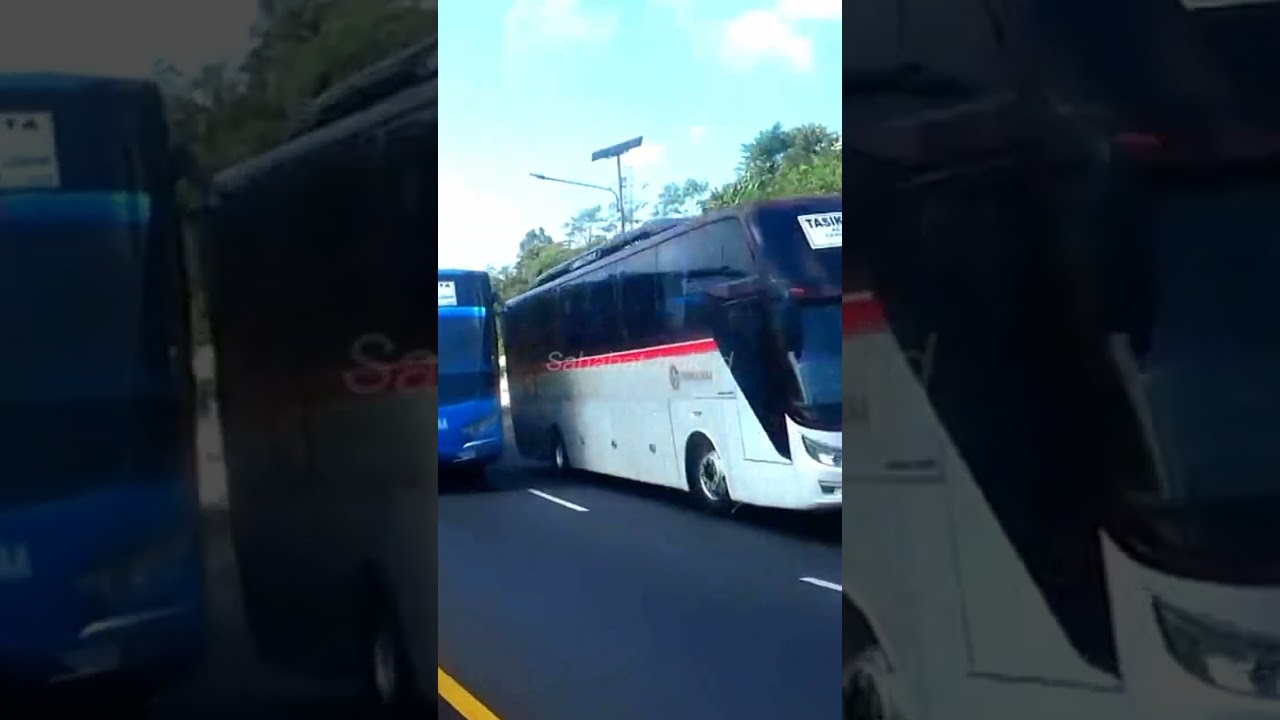 di pepet habis !! duel bus Primajasa vs bus do'a ibu