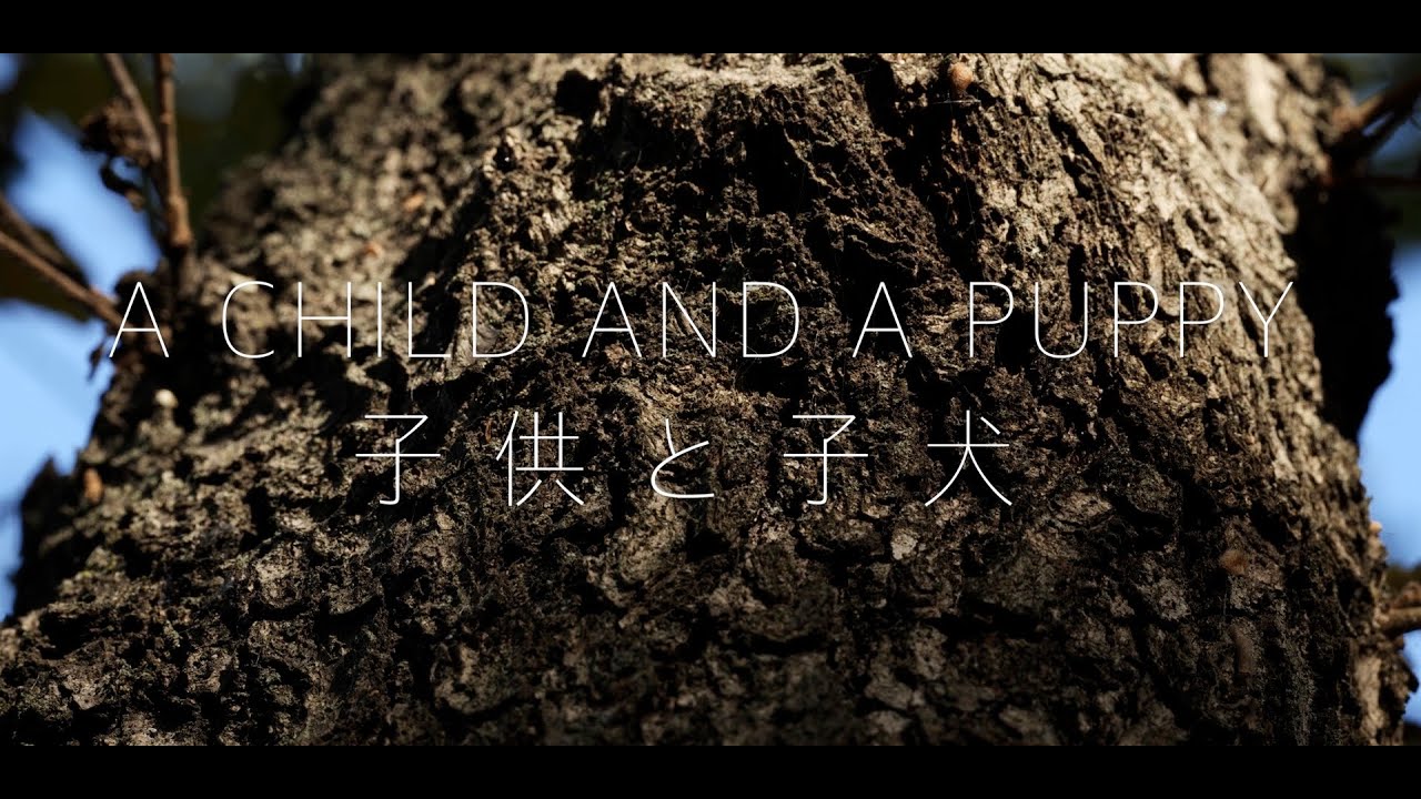 A CHILD AND A PUPPY  /  子供と子犬