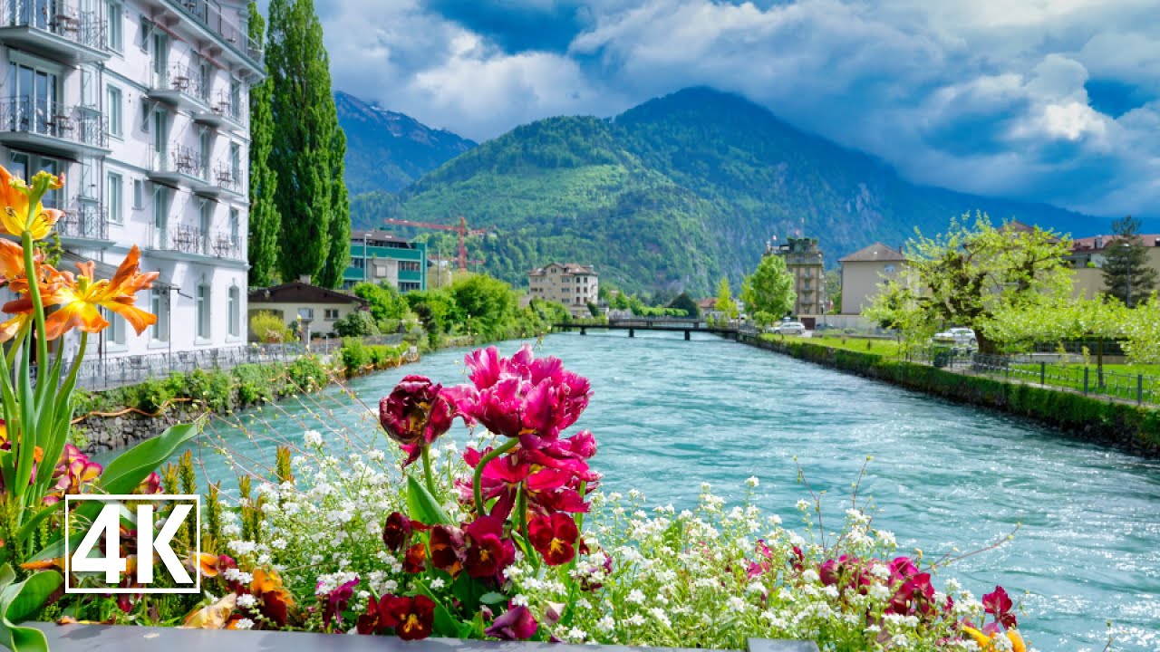 The Magnificent Blooms of Spring in Interlaken, The City Between Two Lakes 🇨🇭 Switzerland 4K