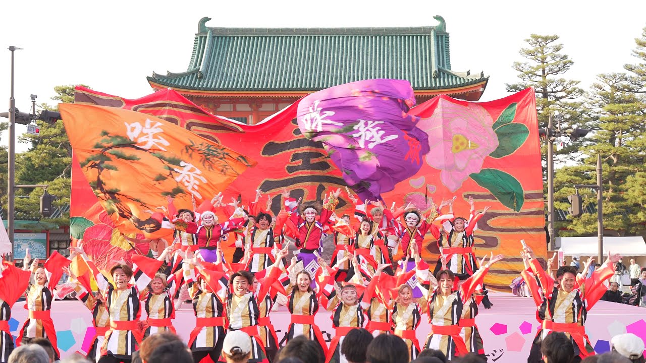 [4K] 京炎そでふれ！咲産華　京都さくらよさこい 2025 さくよさ 日曜日 神宮道会場