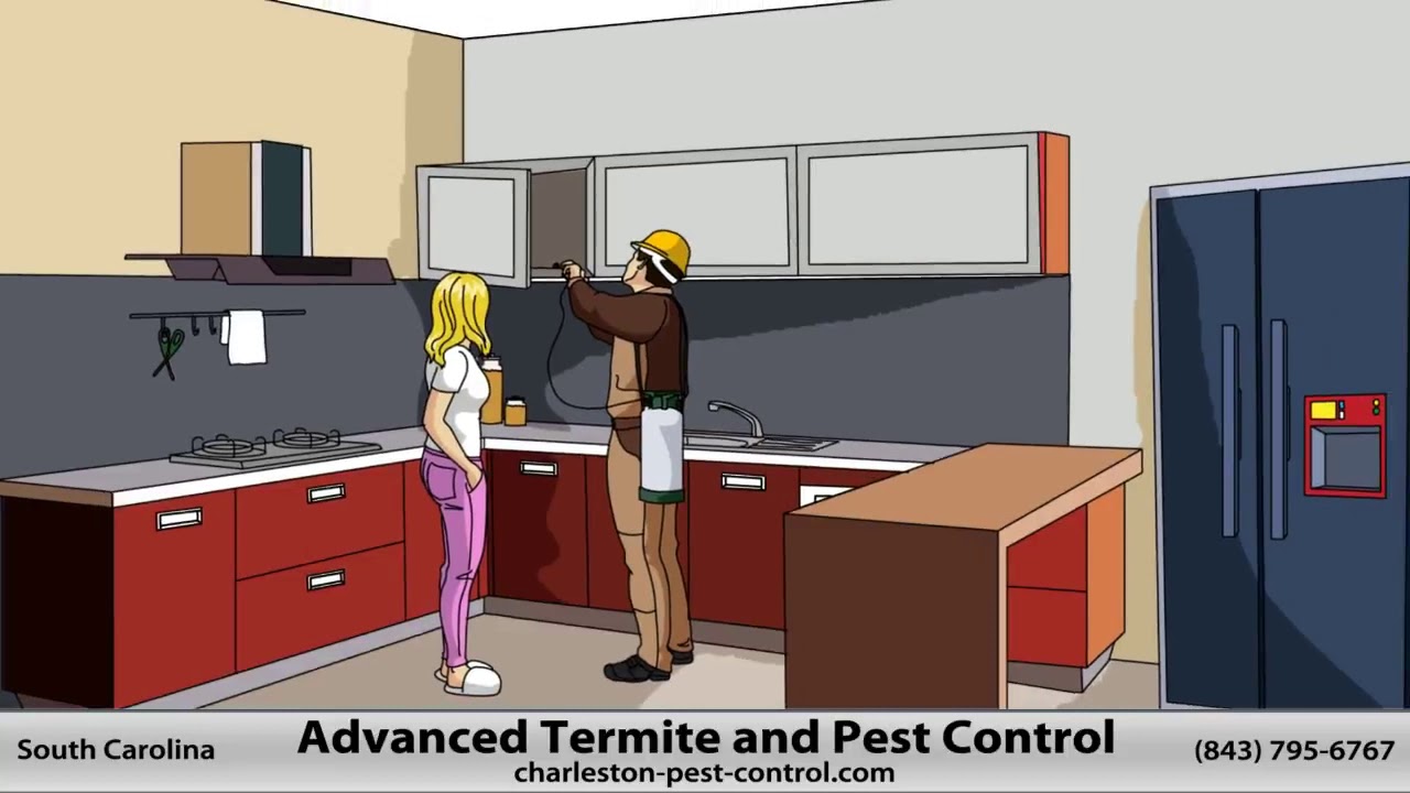 Charleston Pest Control