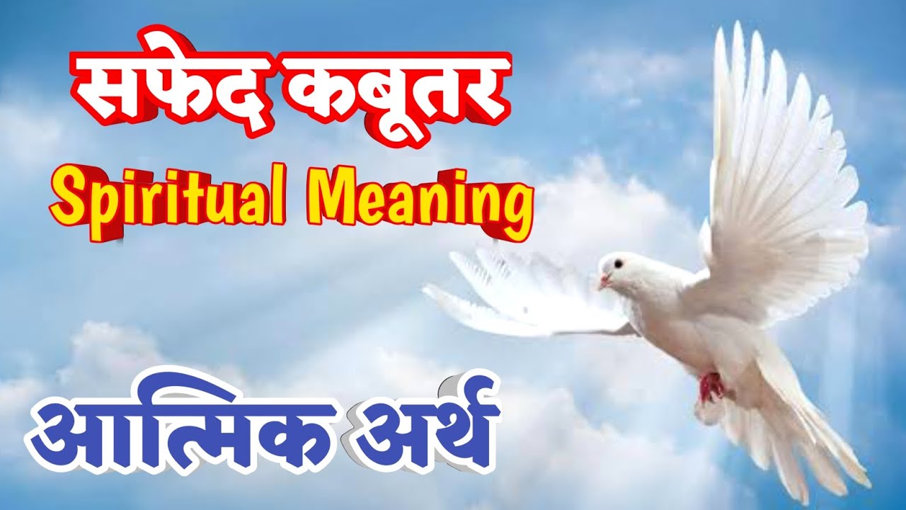 Spiritual Meaning of Dove सफेद कबूतर का आत्मिक अर्थ ! Holy Spirit Christian Sermon Message