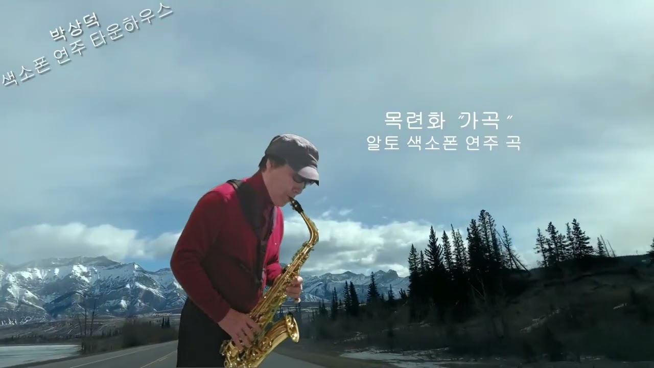 목련화 알토쎅소폰 연주 곡 박상덕
