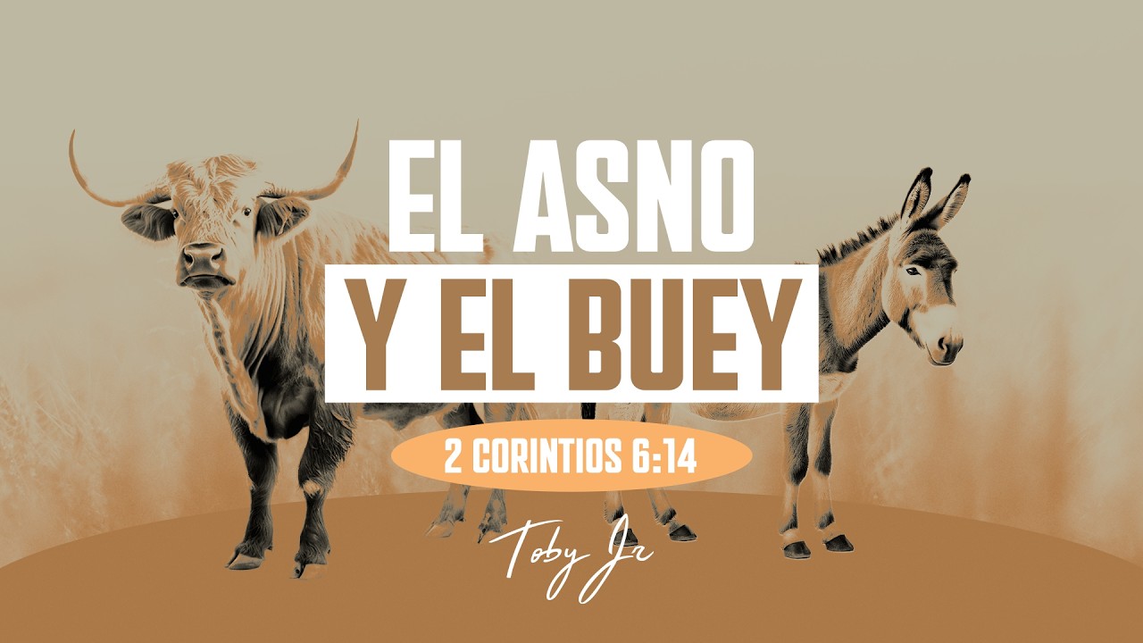 El Asno y El Buey - Pastor Toby jr.
