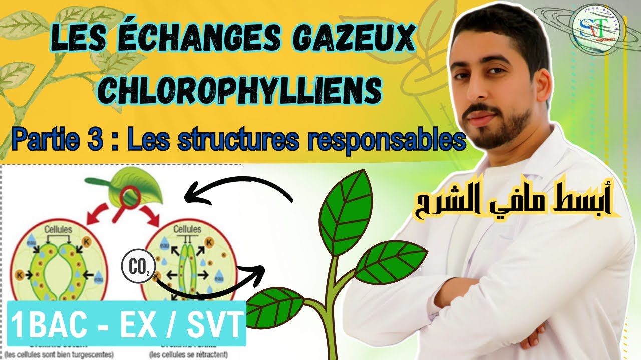 1BAC : Les échanges gazeux chlorophylliens | Partie 3 ⚠️أبسط مافي الشرح‼️
