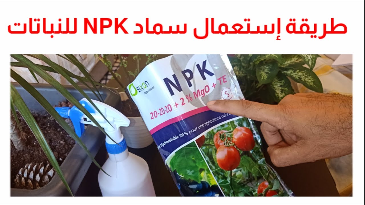 طريقة التسميد بسماد ال NPK و مواعيد التسميد لتقوية و تسريع نمو النباتات