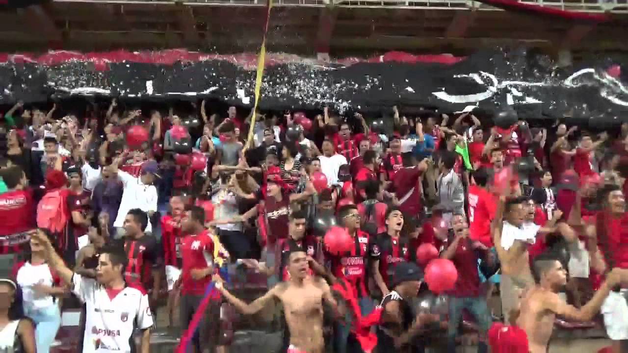 VAMOS ROJINEGRO Audio original estadio metropolitano de Lara