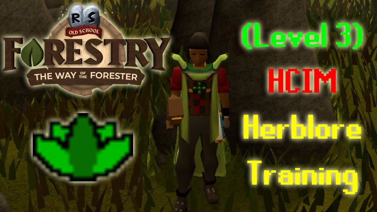 HCIM Level 3 Skiller Ep. #12: Herblore training and Forestry | OSRS