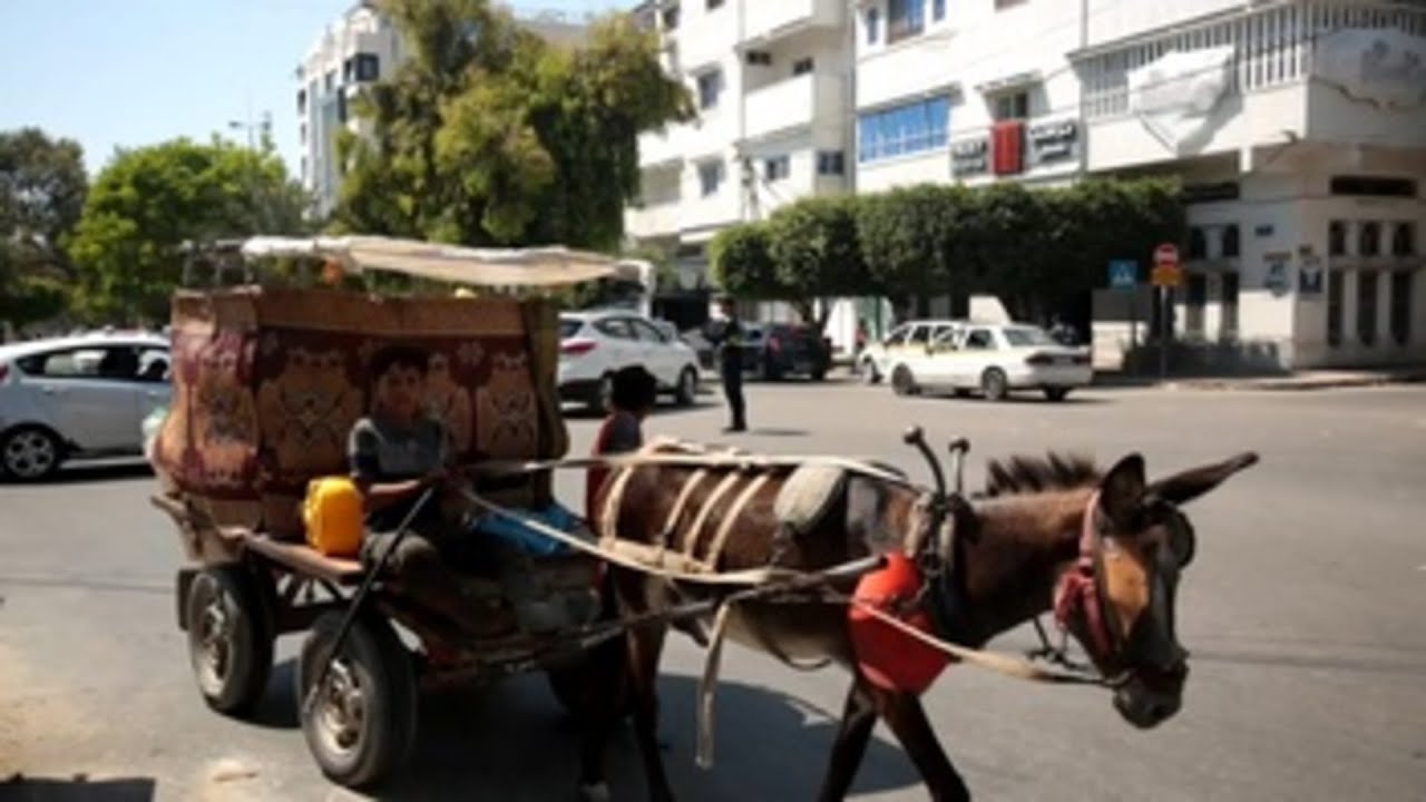 La vida en Gaza, 