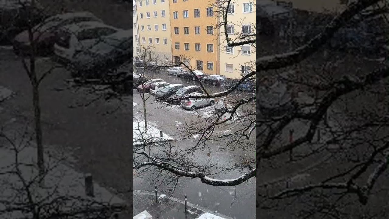 Snowfall