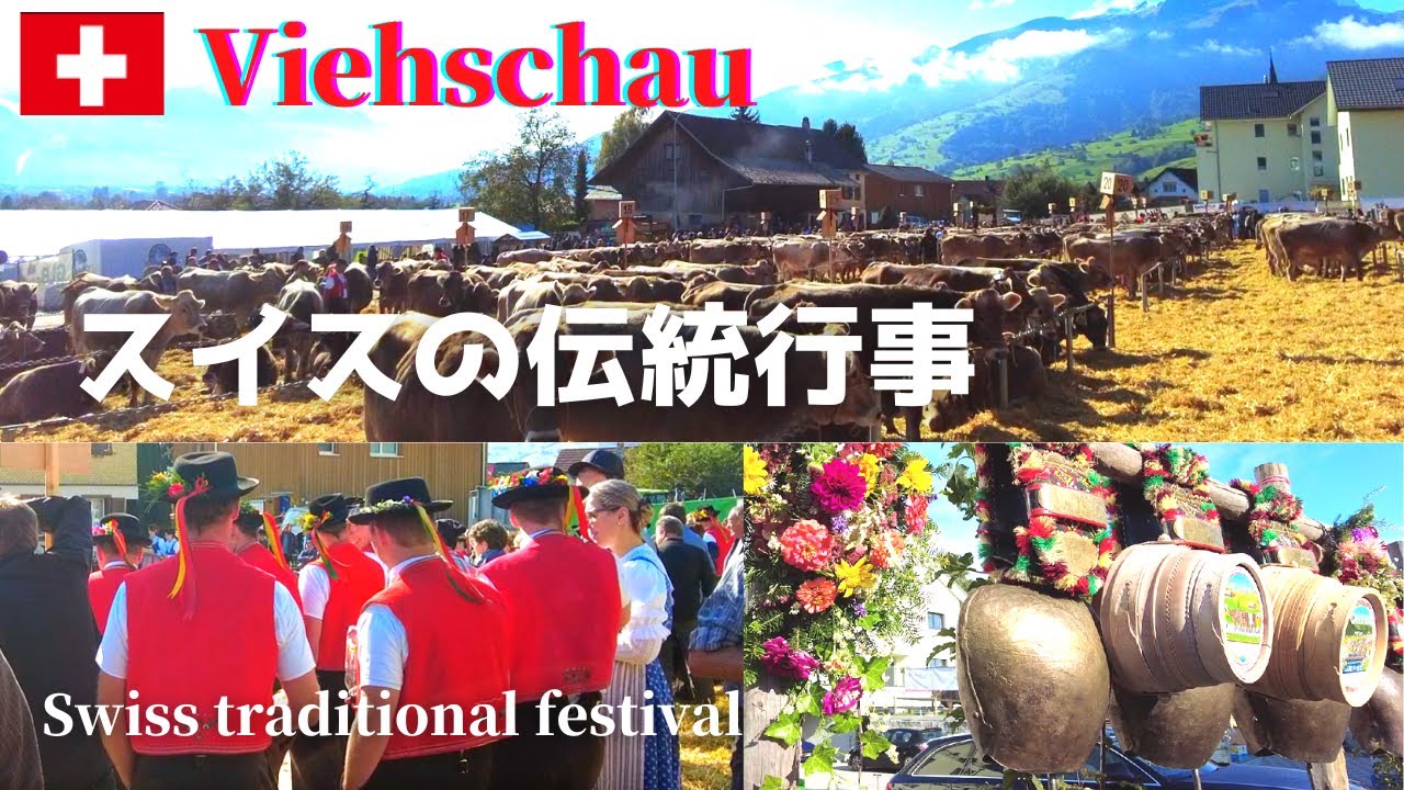 【スイスの伝統祭り】Viehschau Gams 2021/Swiss traditional festival/牛のコンテスト