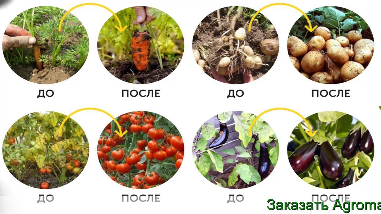 Удобрение Agromax - Купить Удобрение Агромакс Цена