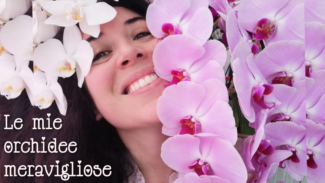 LE MIE MERAVIGLIOSE ORCHIDEE