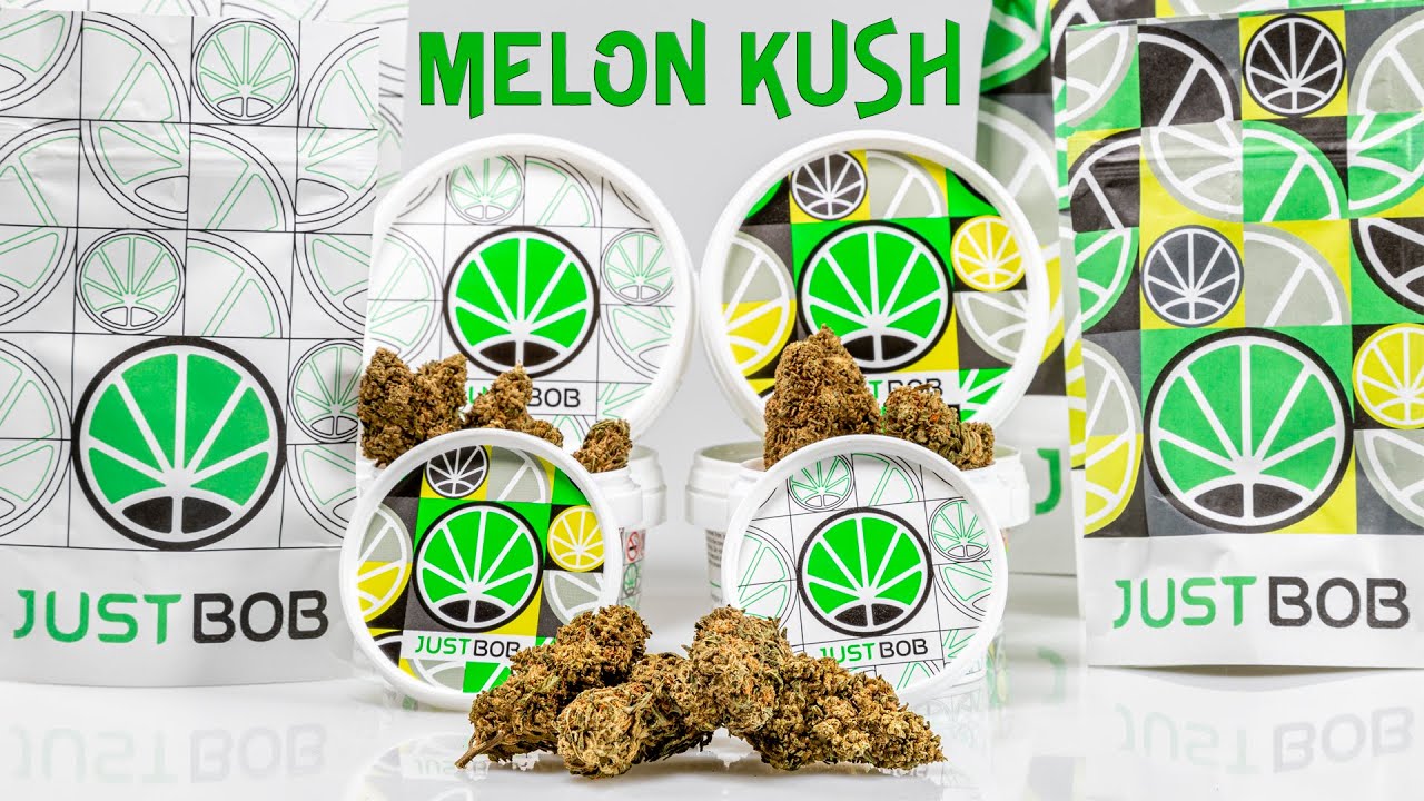 Melon Kush CBD - Marihuana Sin THC - JustBob SPA 2022