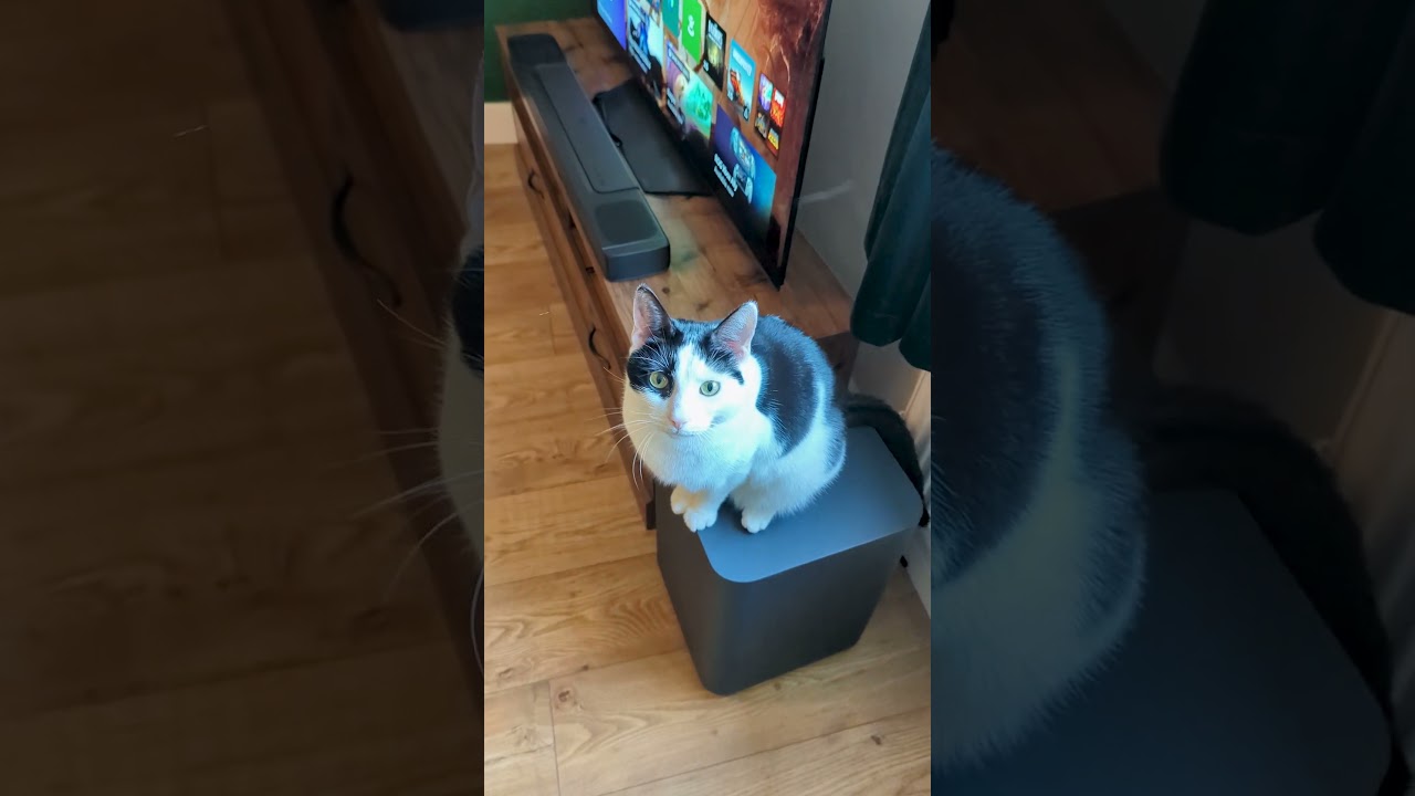 JBL Bar 800: отличная звуковая панель за ваши деньги!