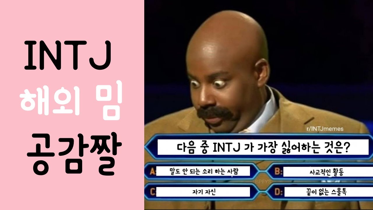 인티제인 제가 피식한 INTJ 해외 밈 직접 번역해봤습니다.