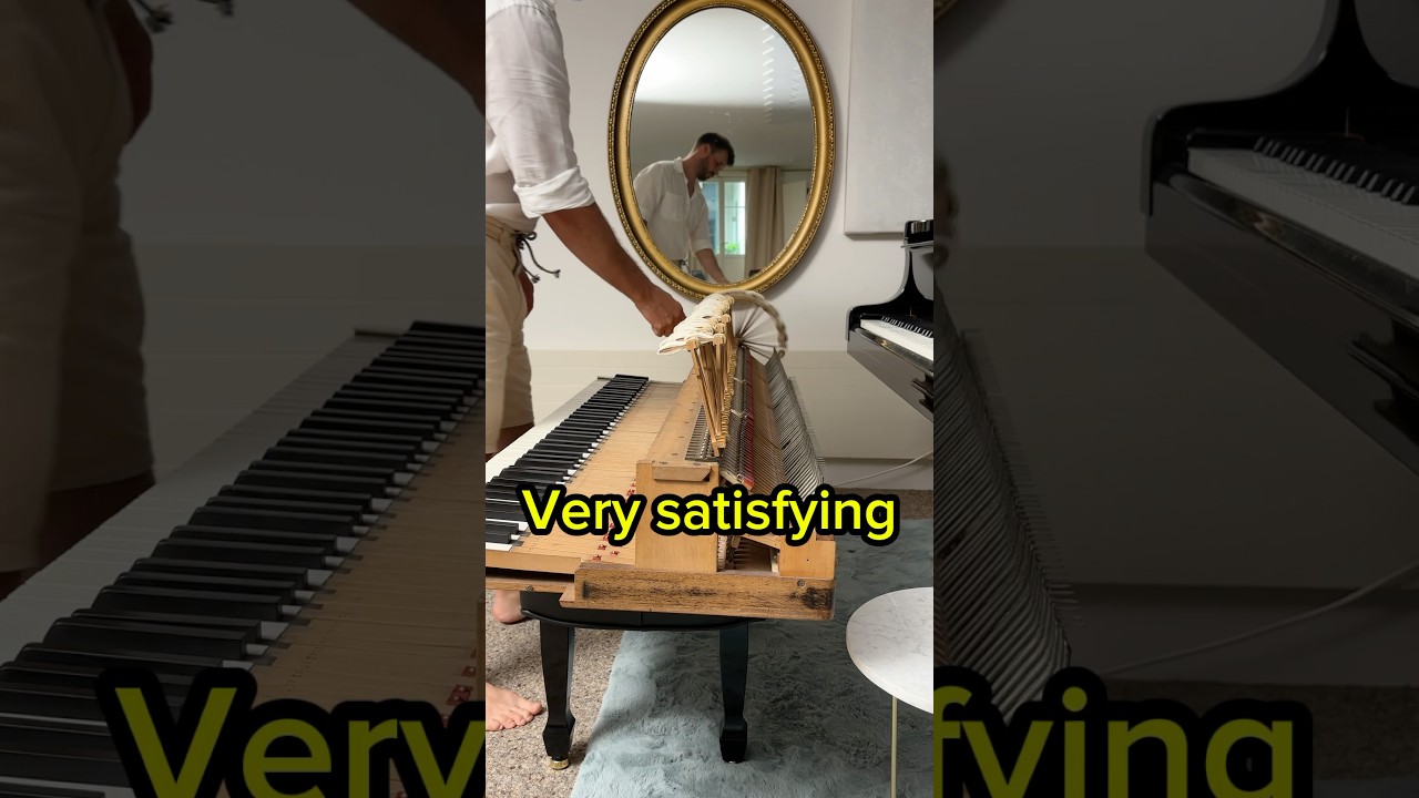 Have you ever seen this? 😉 #piano #action #erard