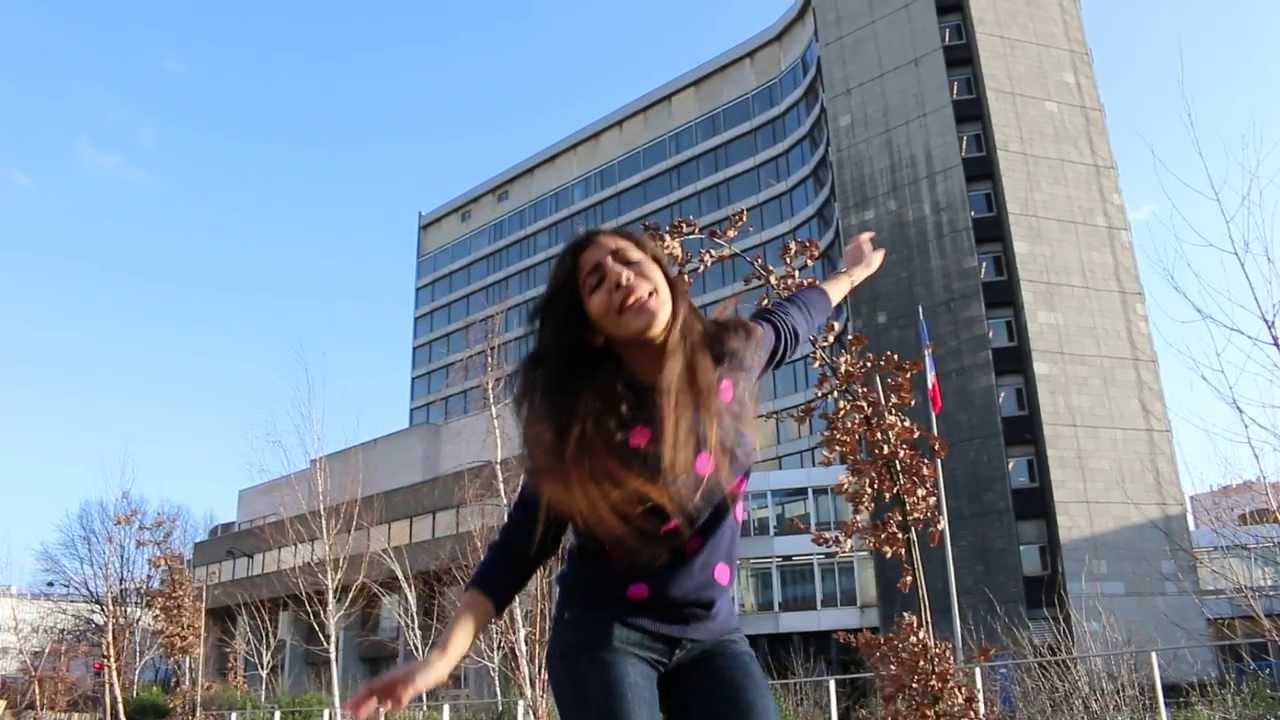 Pharrell Williams - Happy (We Are From ENSAE)