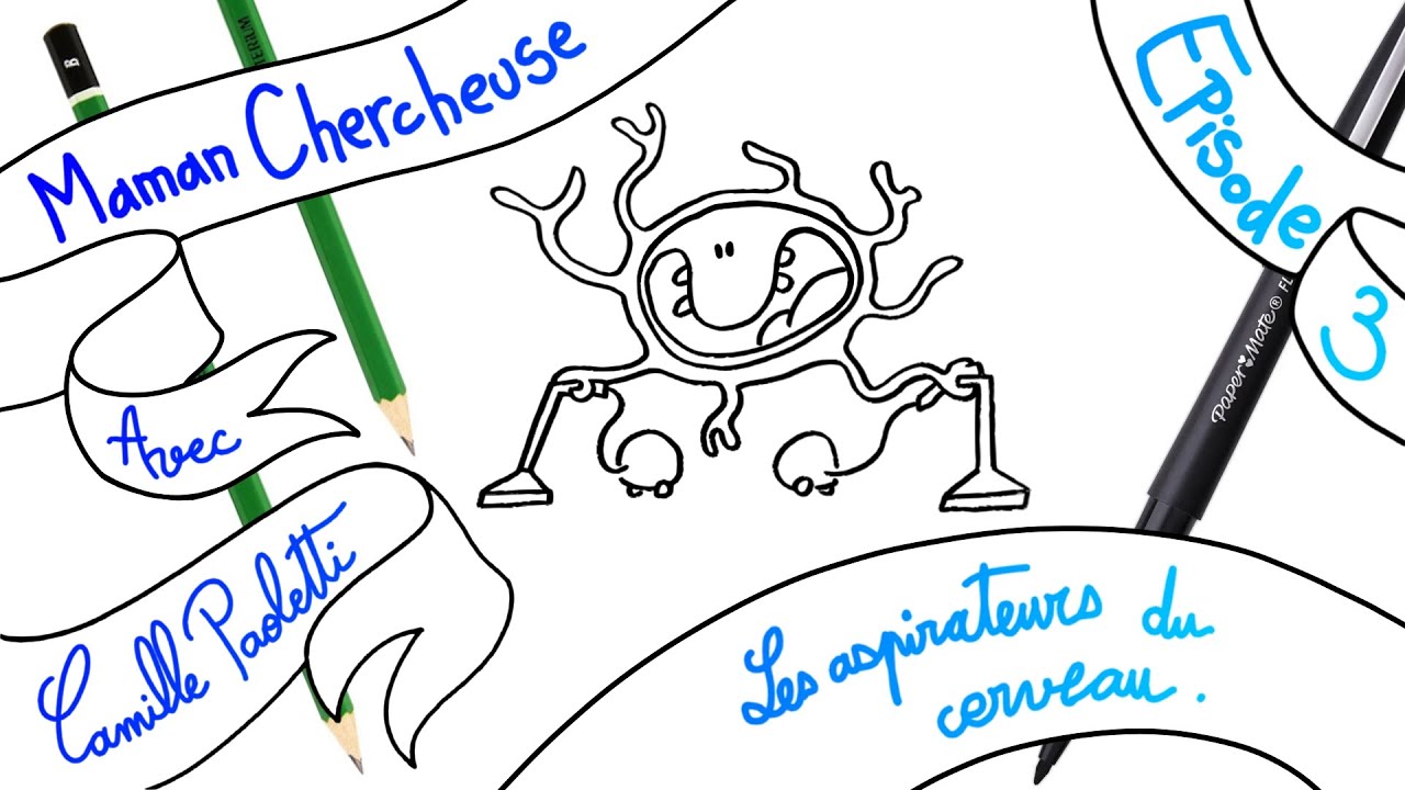 Ep.3 : Les microglies, les aspirateurs des rails, avec Camille Paoletti (IBENS)