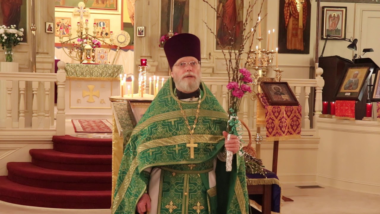 Orthodox Sermon - Palm Sunday
