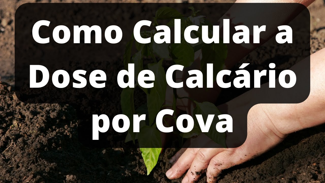 COMO CALCULAR A DOSE DE CALCÁRIO POR COVA