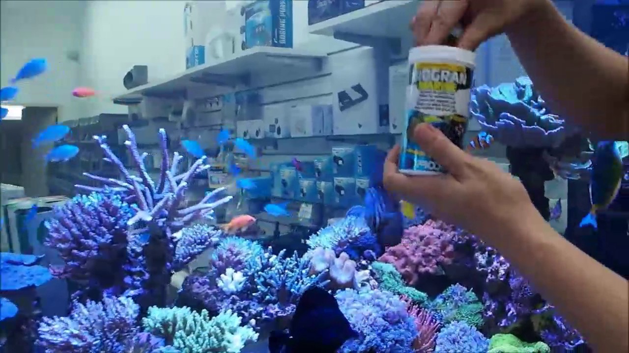Biogran Marine
