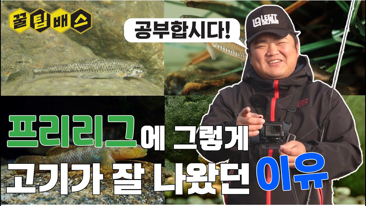패턴을 이용하는 배스낚시, 시작은 베이트피시!
