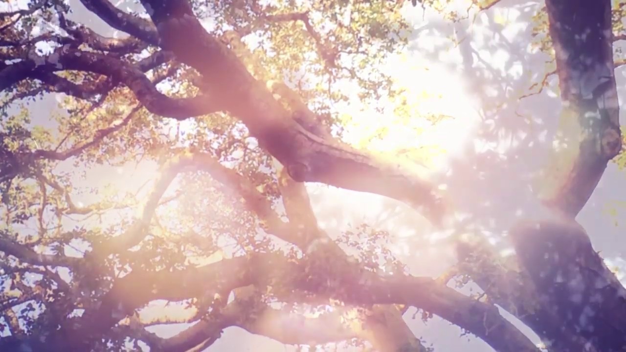 Body Scan Children's Meditation | Sky Like Mind - Louise Shanagher