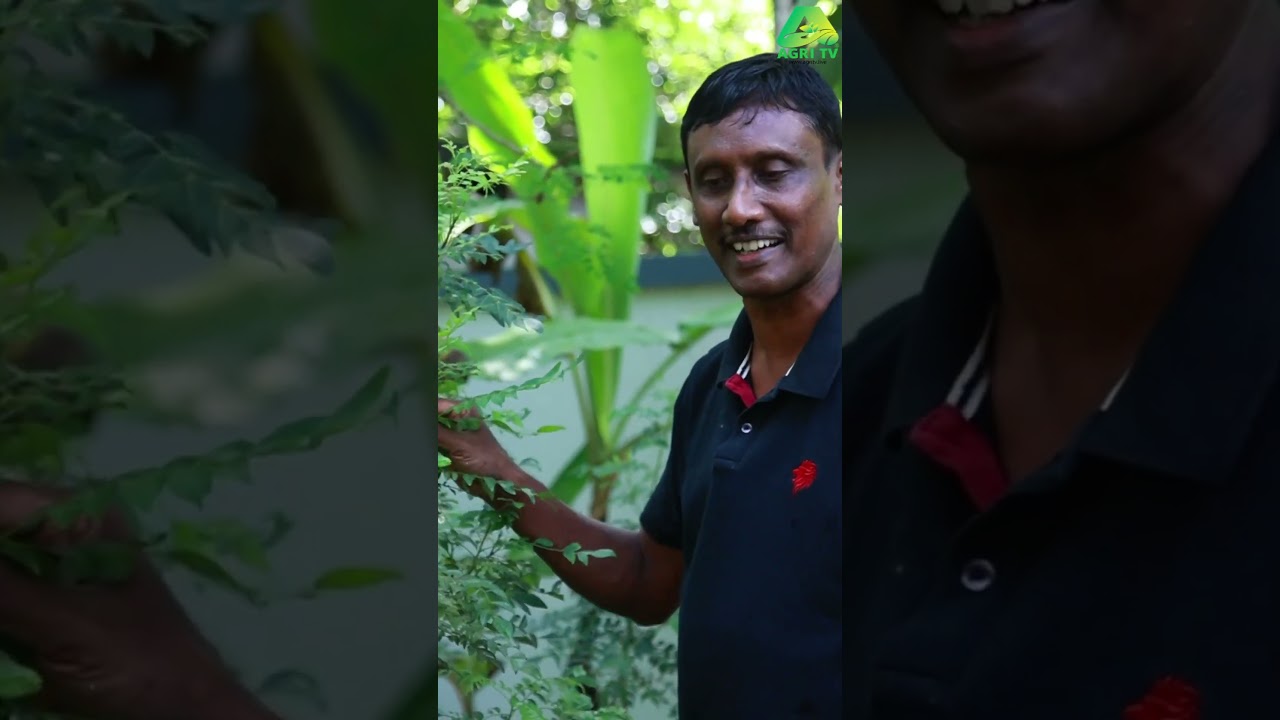 ചിലവില്ലാതെ വീട്ടിൽ മീൻ വളർത്താം #farmingkerala #fishing