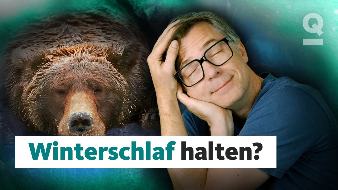 Den Winter einfach durchschlafen, ginge das? | Quarks Dimension Ralph