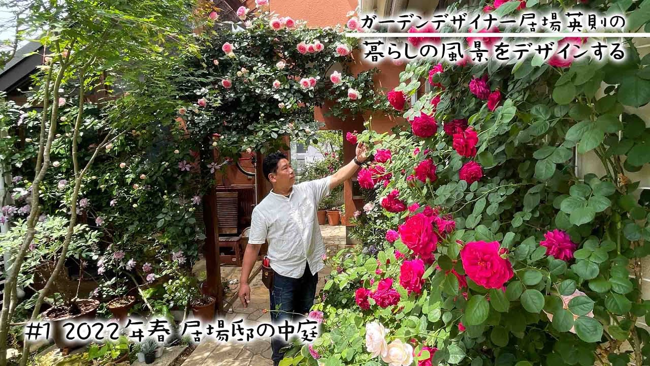 【暮らしの風景をデザインする #1】数々の賞を獲得した居場さんのバラの庭が美しい ～プライベートな中庭編～【居場英則】