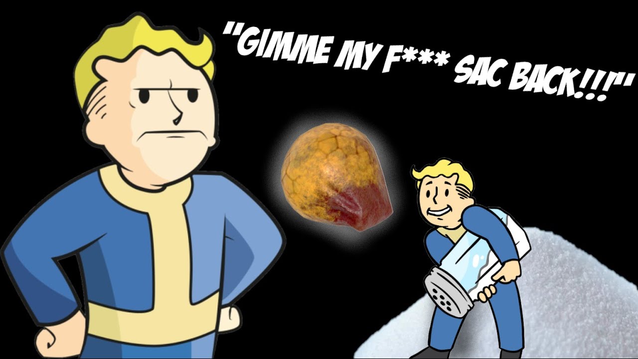 Fallout 76 PvP | Salty Player Cries About Junk #fallout76pvp #fallout76