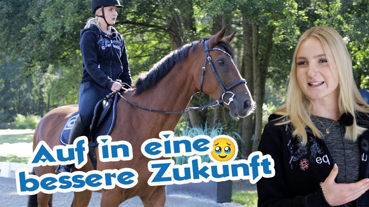 Neues Pferd gekauft – Nun soll es ihm besser gehen | Nervöser Wallach wird kurzgecheckt