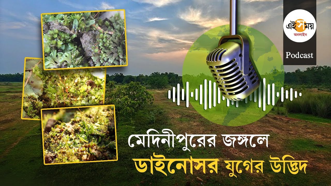 New Species Discovery: পশ্চিম মেদিনীপুরের জঙ্গলে মিলল লিভারওয়ার্ট প্রজাতির উদ্ভিদ