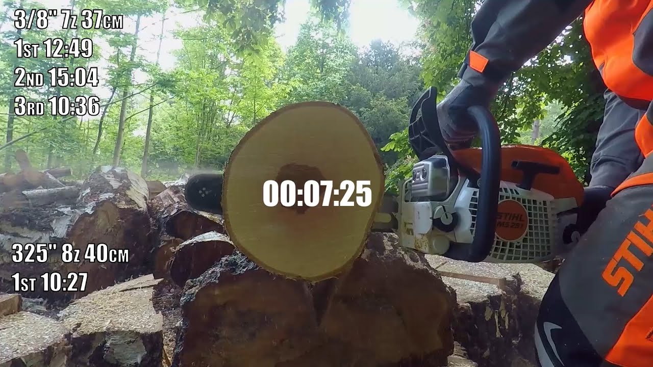Stihl MS 291 | Cutting Challange | 3/8 vs. .325 | 30cm bricht hard wood