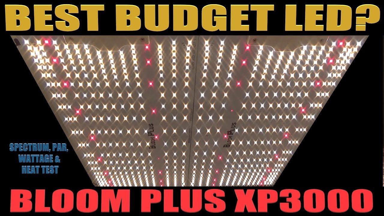 Лучший бюджетный светодиод? &mdash; Bloom Plus XP3000 PAR, спектр, мощность и тепловые испытания